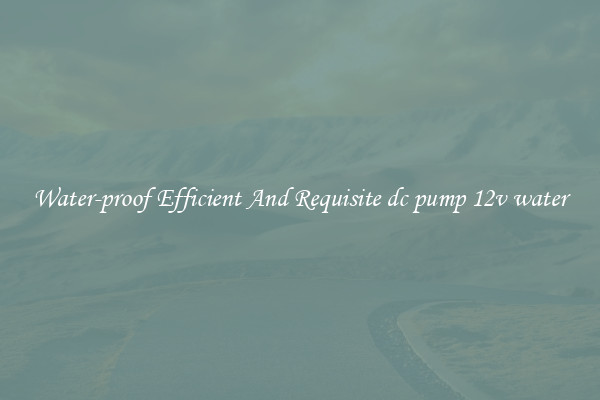 Water-proof Efficient And Requisite dc pump 12v water