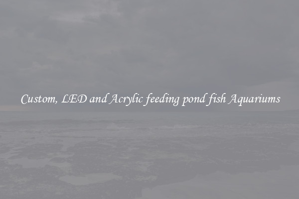 Custom, LED and Acrylic feeding pond fish Aquariums