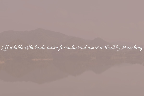 Affordable Wholesale raisin for industrial use For Healthy Munching 