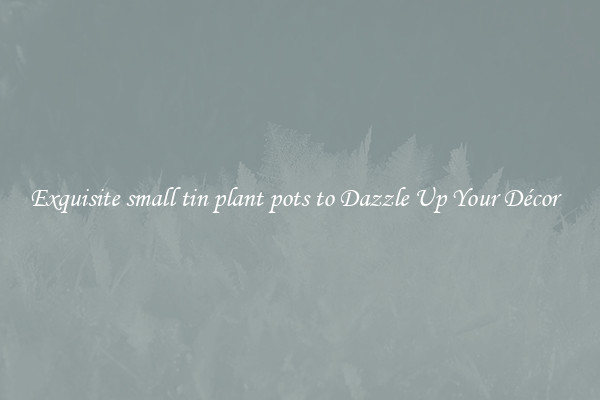 Exquisite small tin plant pots to Dazzle Up Your Décor  