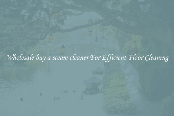 Wholesale buy a steam cleaner For Efficient Floor Cleaning