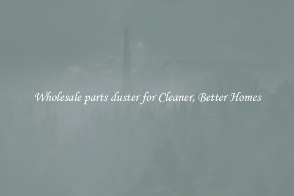 Wholesale parts duster for Cleaner, Better Homes