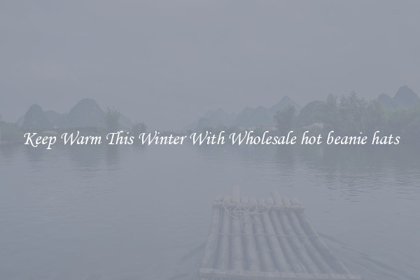 Keep Warm This Winter With Wholesale hot beanie hats