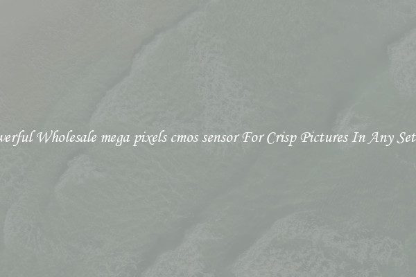 Powerful Wholesale mega pixels cmos sensor For Crisp Pictures In Any Setting
