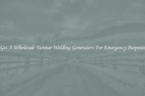 Get A Wholesale Yanmar Welding Generators For Emergency Purposes