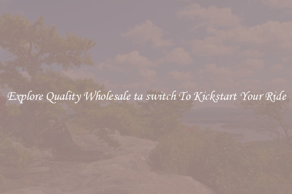Explore Quality Wholesale ta switch To Kickstart Your Ride