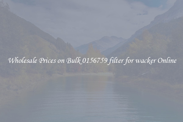 Wholesale Prices on Bulk 0156759 filter for wacker Online