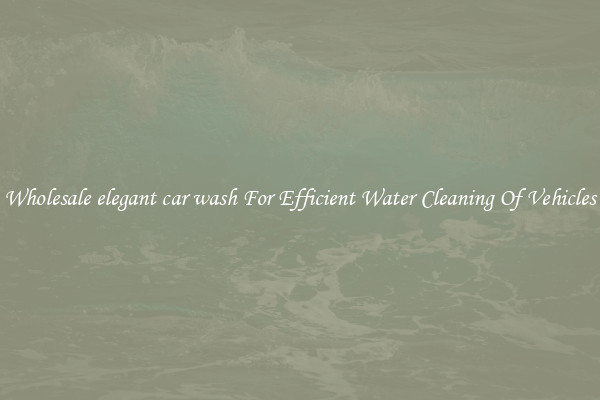 Wholesale elegant car wash For Efficient Water Cleaning Of Vehicles