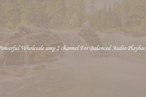 Powerful Wholesale amp 2 channel For Balanced Audio Playback