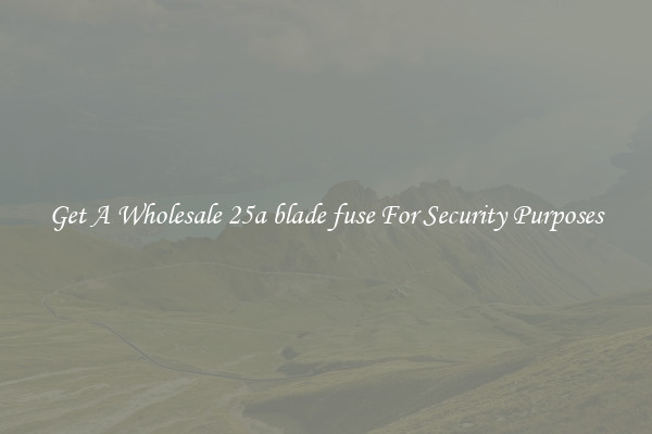 Get A Wholesale 25a blade fuse For Security Purposes