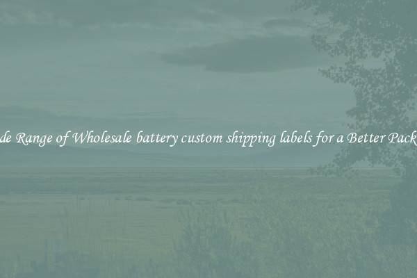 A Wide Range of Wholesale battery custom shipping labels for a Better Packaging 