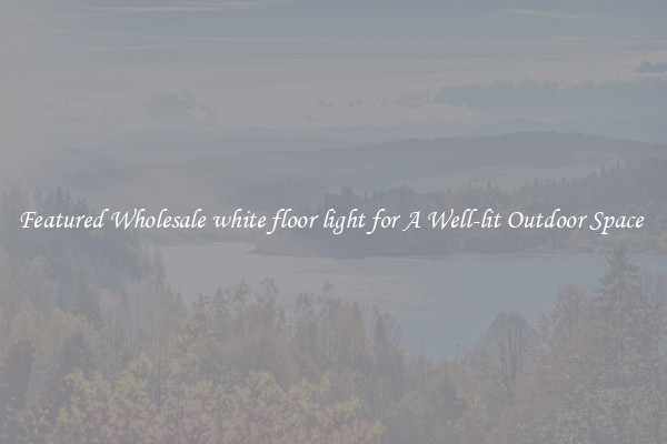 Featured Wholesale white floor light for A Well-lit Outdoor Space 