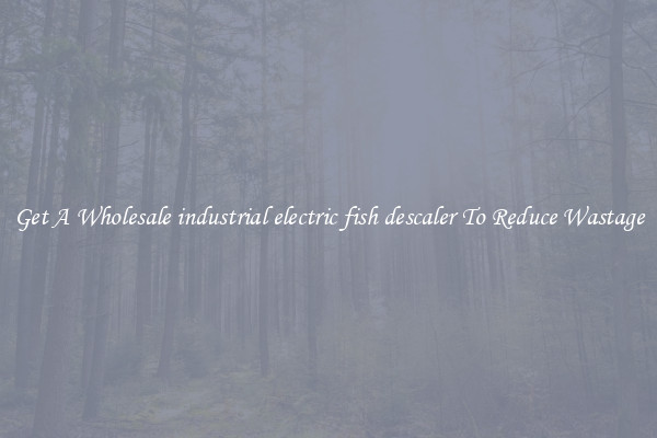 Get A Wholesale industrial electric fish descaler To Reduce Wastage