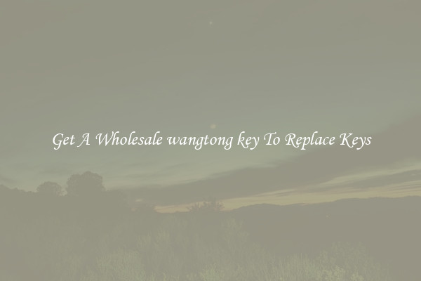 Get A Wholesale wangtong key To Replace Keys