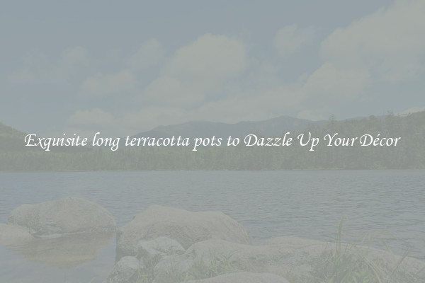 Exquisite long terracotta pots to Dazzle Up Your Décor 
