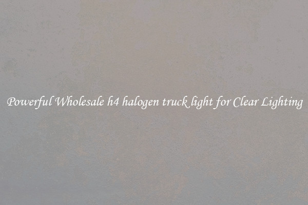 Powerful Wholesale h4 halogen truck light for Clear Lighting