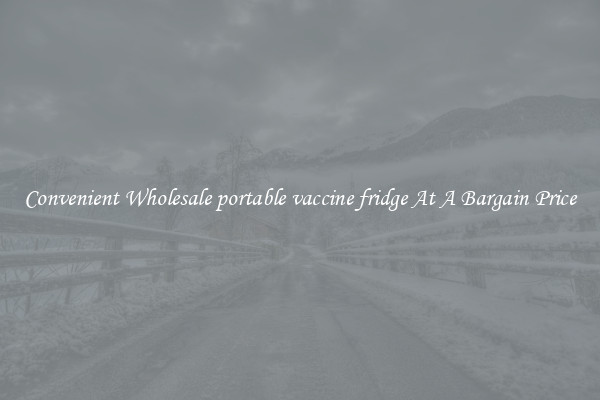 Convenient Wholesale portable vaccine fridge At A Bargain Price