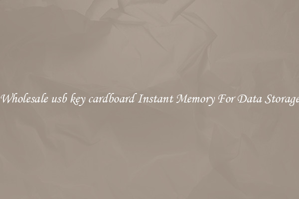 Wholesale usb key cardboard Instant Memory For Data Storage