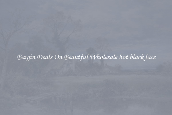 Bargin Deals On Beautful Wholesale hot black lace