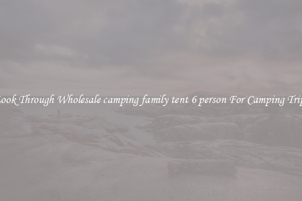 Look Through Wholesale camping family tent 6 person For Camping Trips