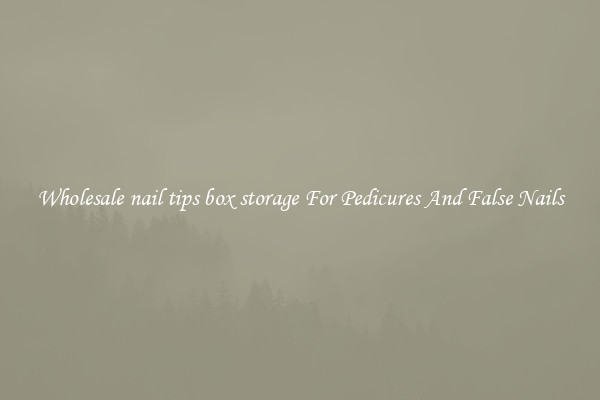 Wholesale nail tips box storage For Pedicures And False Nails