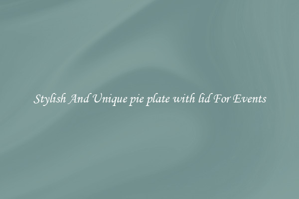 Stylish And Unique pie plate with lid For Events